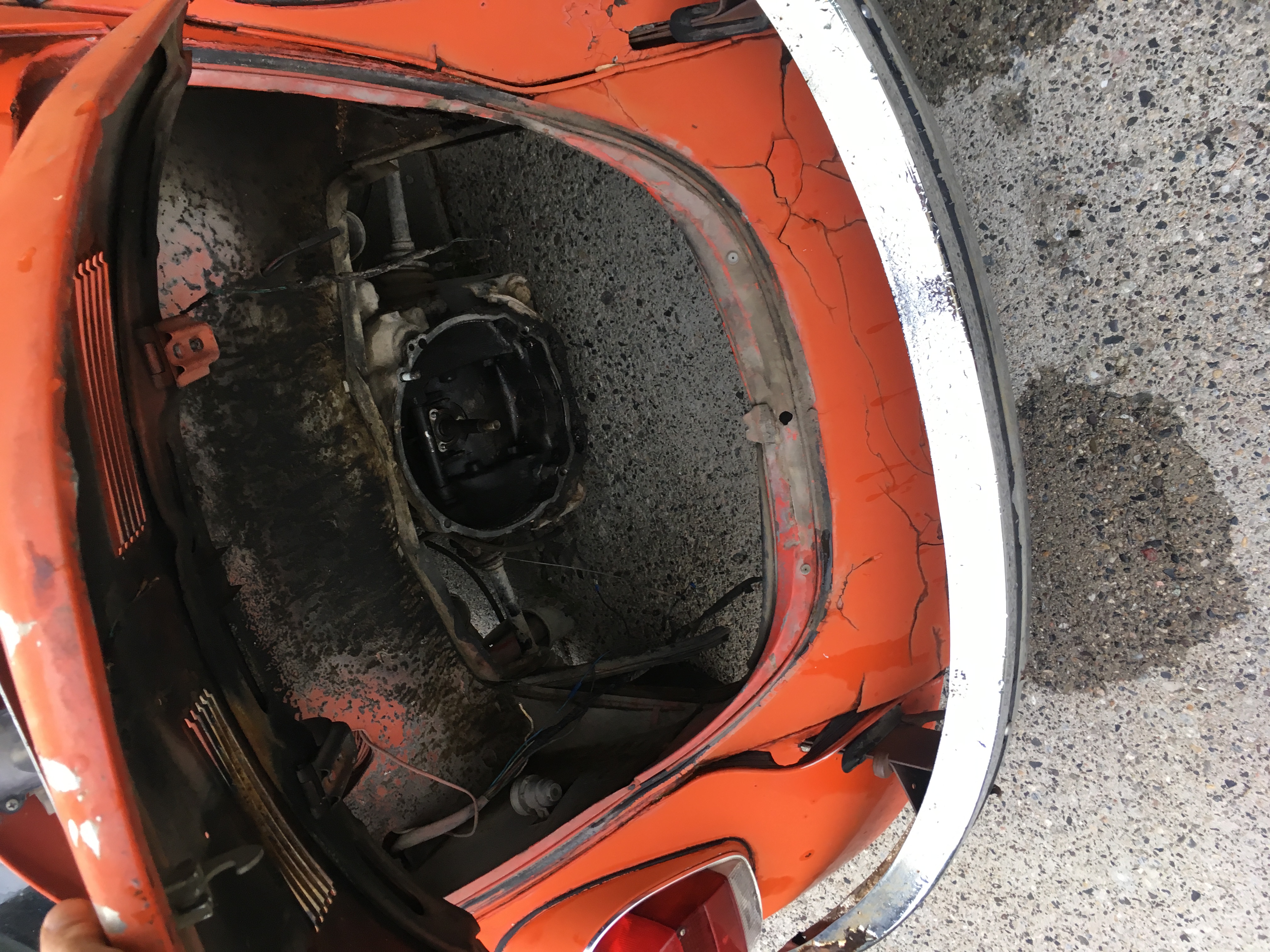 The Bug without its gasoline motor.